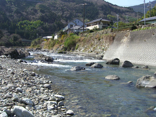 a0056140_1584928.jpg