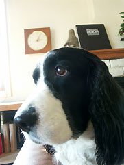 f0040044_96591.jpg
