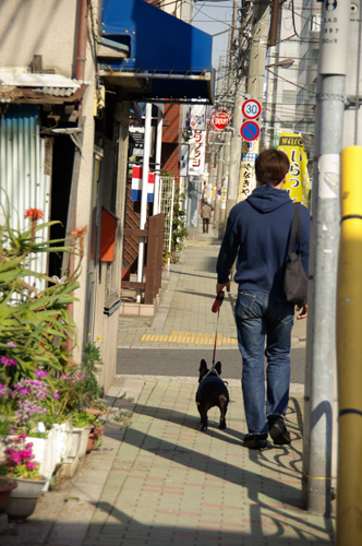 しおちゃん・・・の後のお散歩_f0140647_04571.jpg