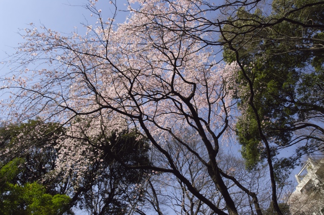 c0071763_215070.jpg