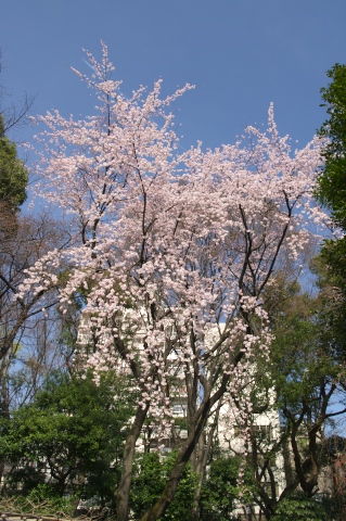 c0071763_2151529.jpg