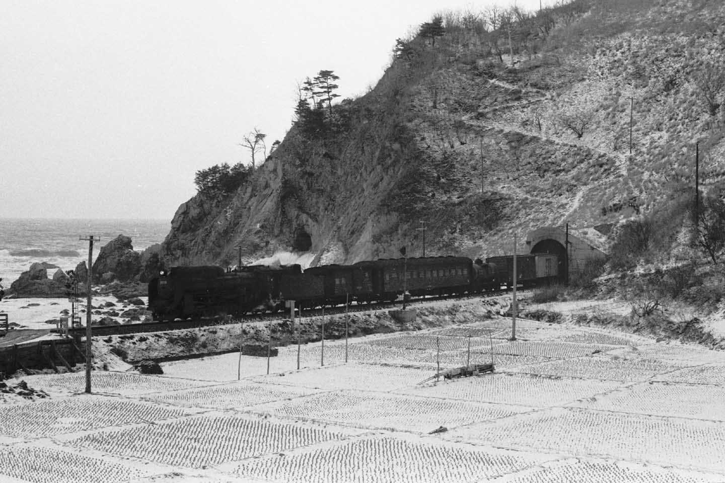 e0019563_20563478.jpg