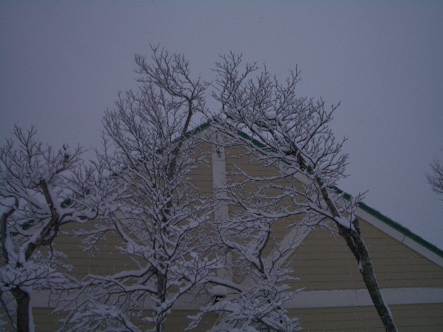 d0010065_2115575.jpg