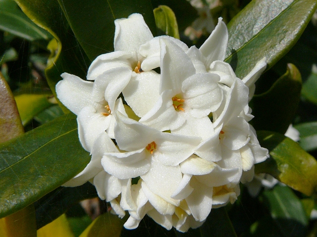 d0042474_0122636.jpg