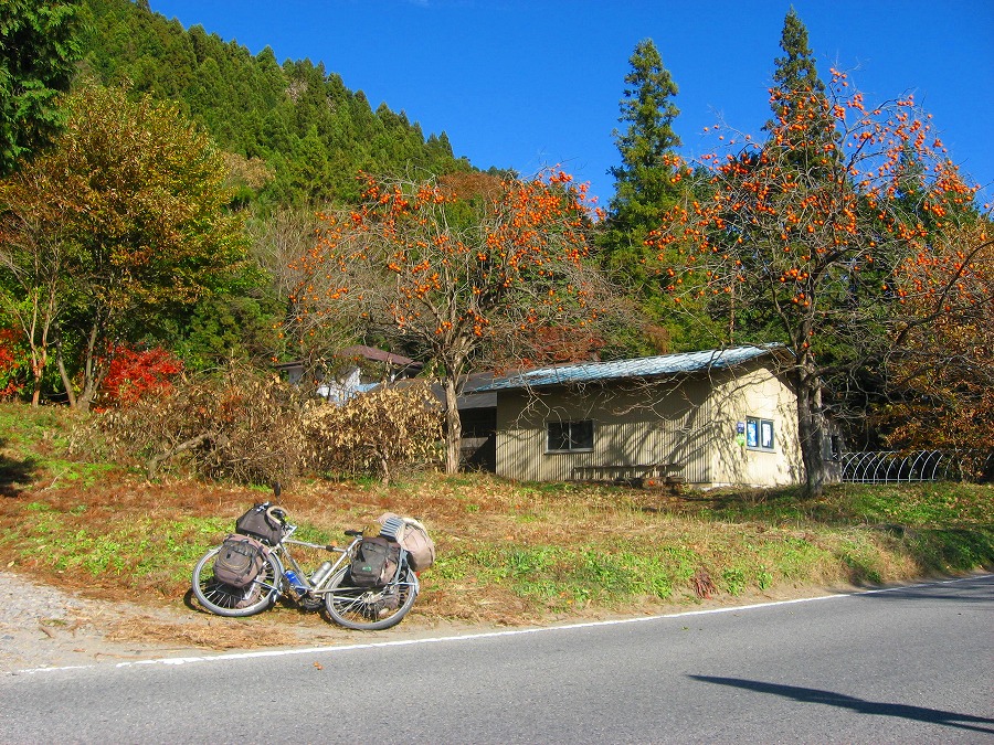 日本_f0118777_20515148.jpg