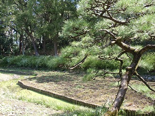c0105785_91371.jpg