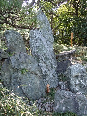 c0105785_99619.jpg