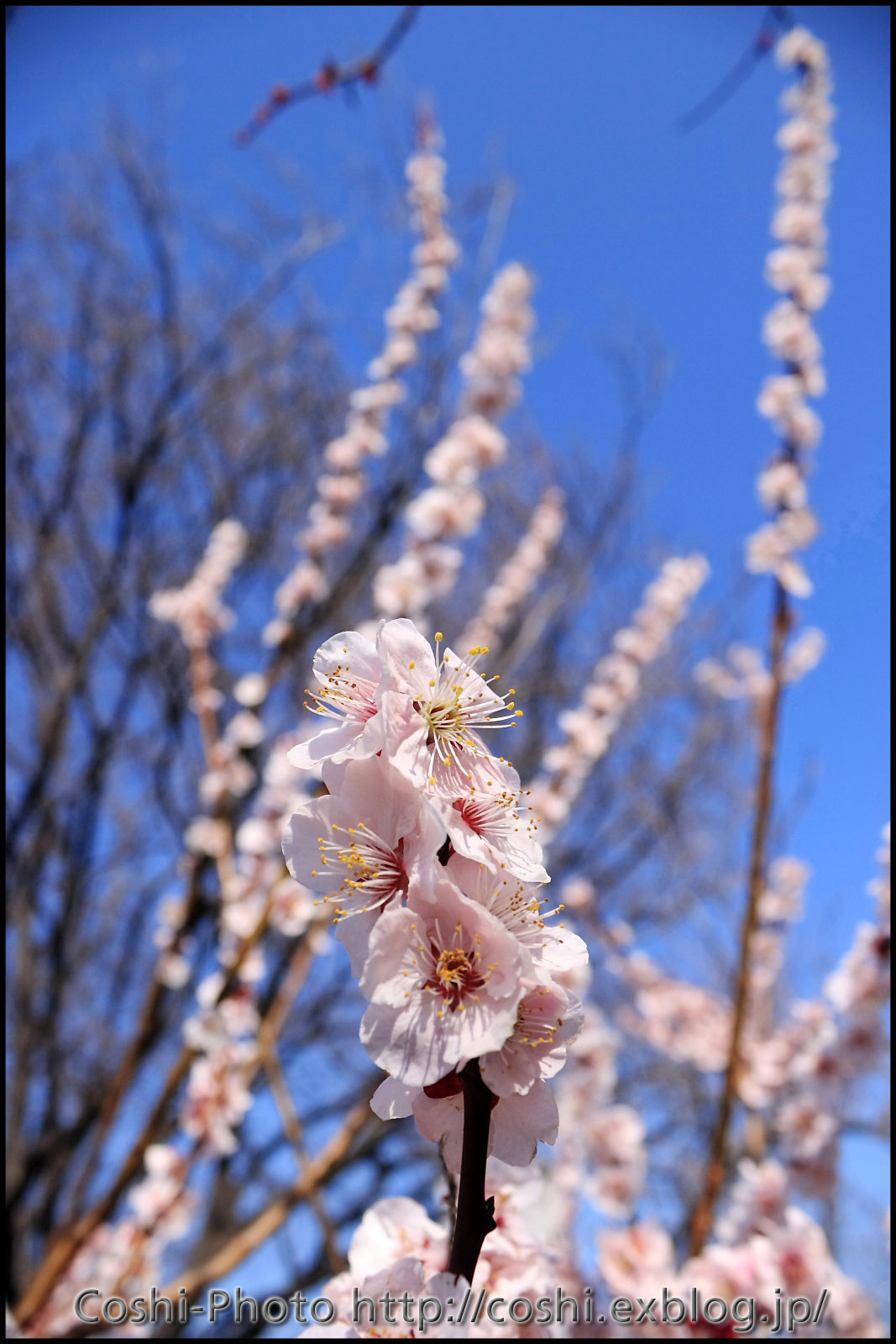 荒川自然公園にて_a0110096_15124260.jpg