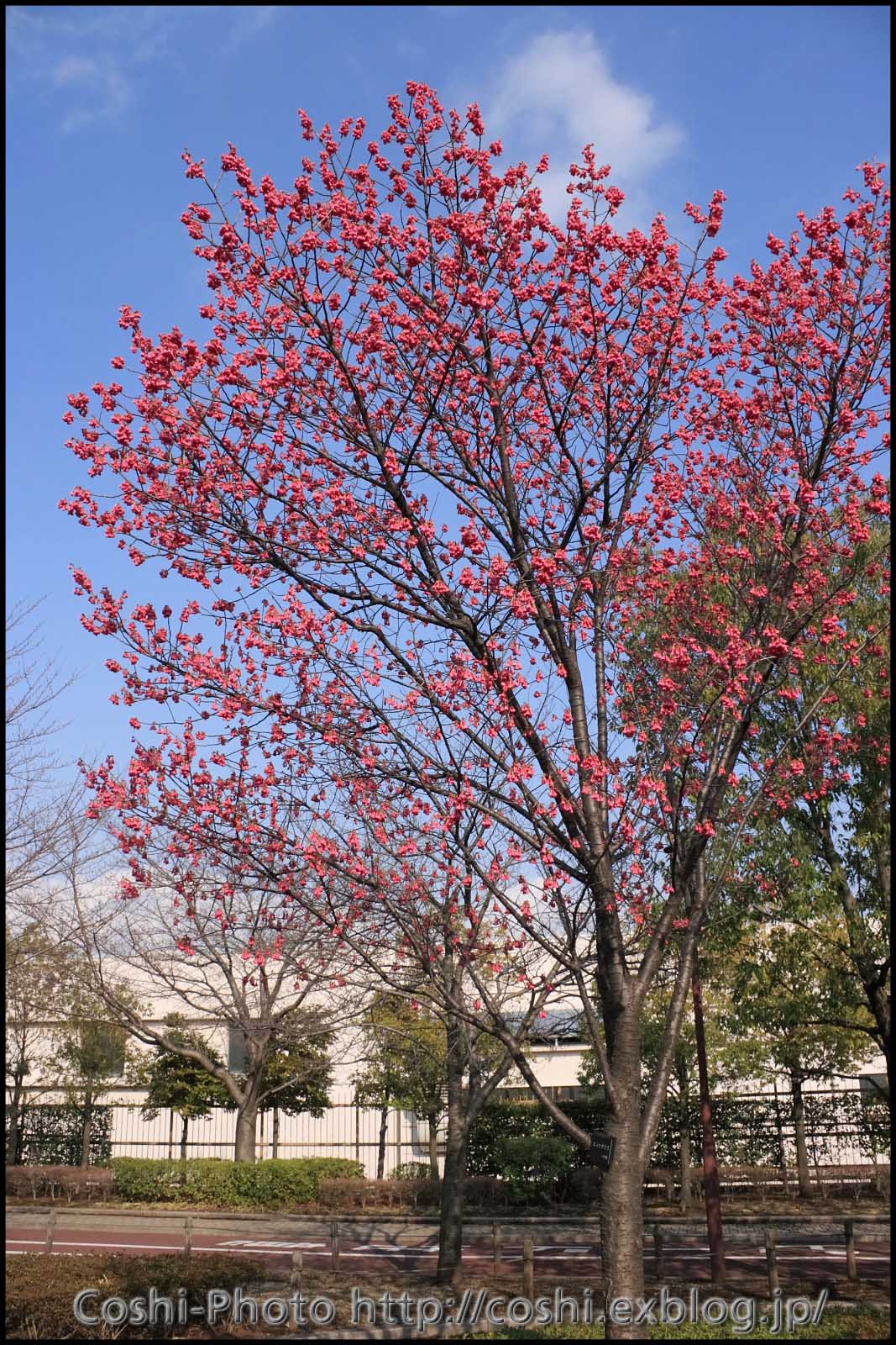 荒川自然公園にて_a0110096_15172034.jpg