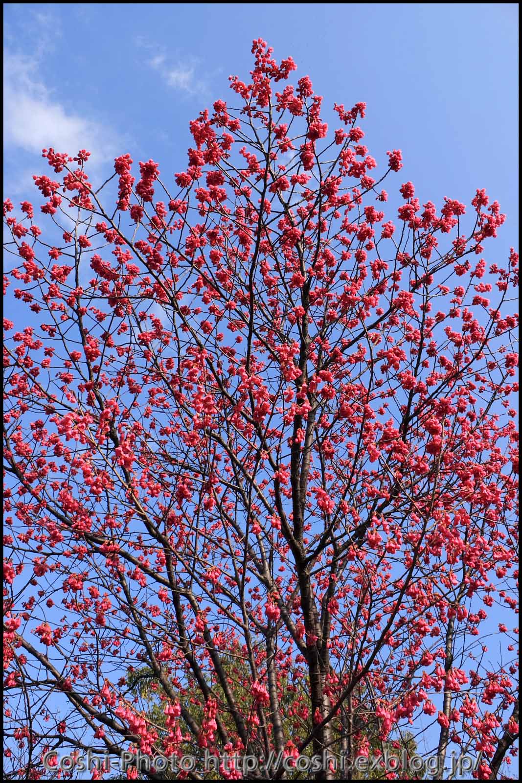 荒川自然公園にて_a0110096_15174159.jpg