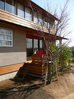 坪井町の家(2008)_b0014003_1995928.jpg
