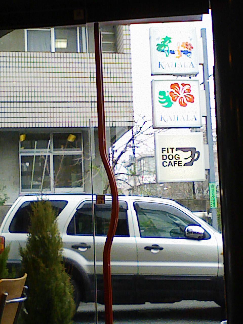 a0032004_3372218.jpg