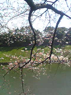 c0054112_12345133.jpg