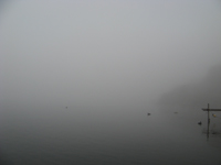 a0086316_19343970.jpg