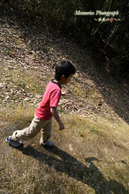 c0089419_11464330.jpg