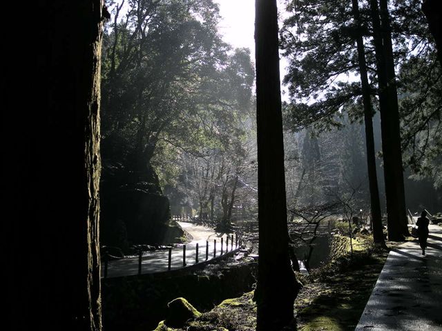 永平寺参拝_d0081723_17352173.jpg