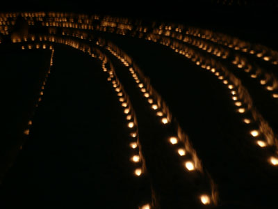 a0049226_72259.jpg