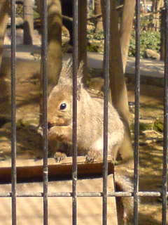 井の頭動物園★_b0062337_014042.jpg