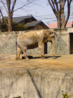 井の頭動物園★_b0062337_014065.jpg