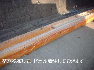 f0031037_17509.jpg