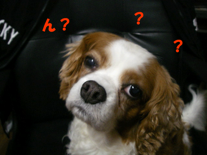 c0136838_21352080.gif