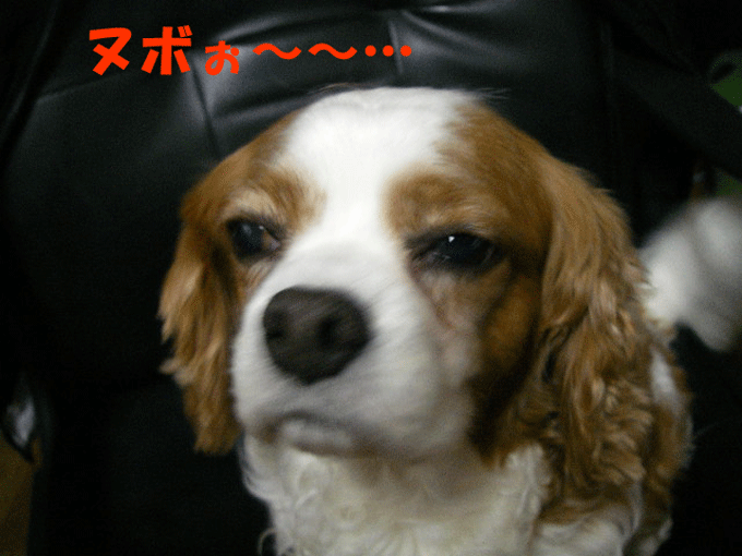 c0136838_21431095.gif