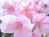 f0134642_14543.gif