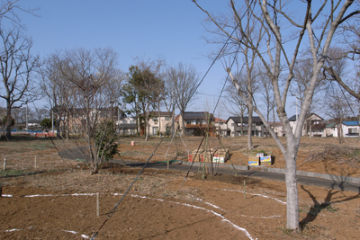 坪井町の民家　見学会_e0128359_1051502.jpg