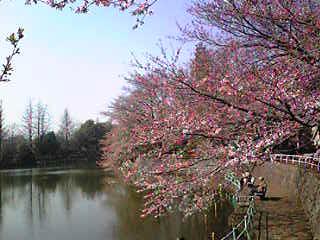 b0113883_12135046.jpg