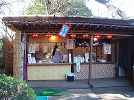 東照宮ぼたん苑 ～うえの牡丹まつり2008 冬ぼたん編_c0105785_10162811.jpg