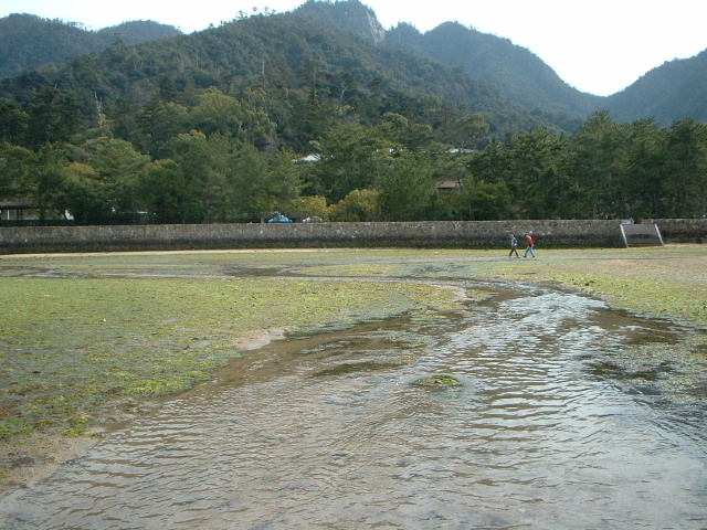 e0060485_04839.jpg
