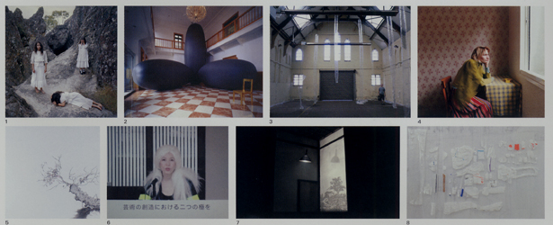 アーティスト・ファイル 2008―現代の作家たち　＠国立新美術館_b0044404_21271299.jpg