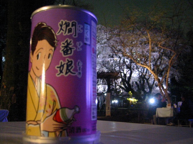 しだれ桜_a0036808_1536537.jpg