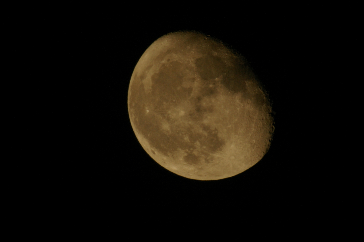d0092109_12492.jpg