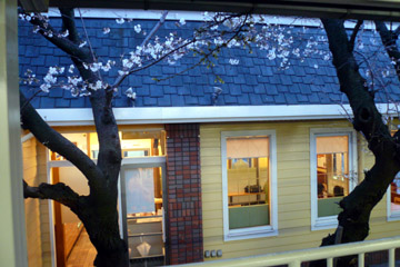 e0083517_035226.jpg