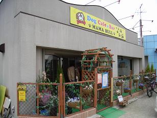 e0118224_245269.jpg