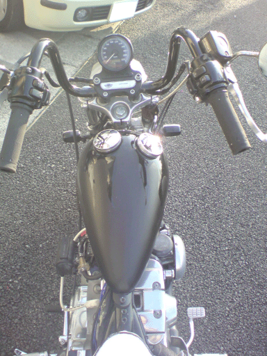 c0006028_844316.gif