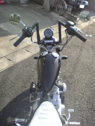 c0006028_8473958.gif