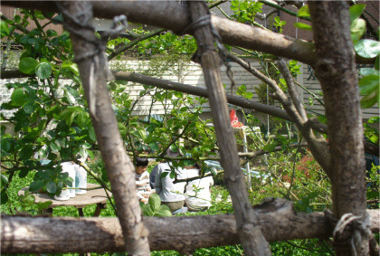 d0140329_13262948.gif