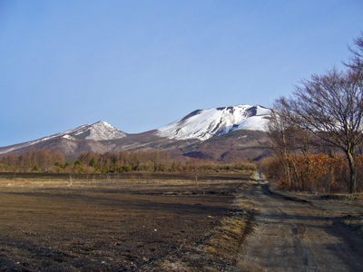 b0045357_15302873.jpg