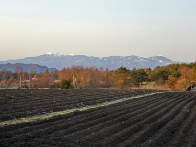 b0045357_1532119.jpg