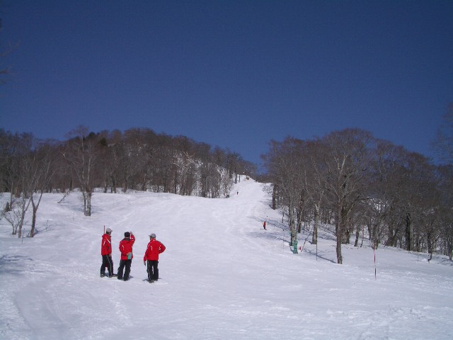 d0010065_21412281.jpg