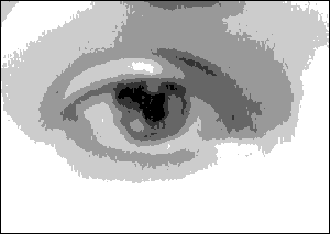 マイクロチップと大いなる世界人間牧場 by デーヴィッド・アイク_c0139575_0413390.gif