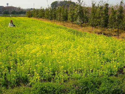 c0145581_1423010.jpg