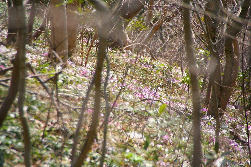 e0024081_21453263.jpg