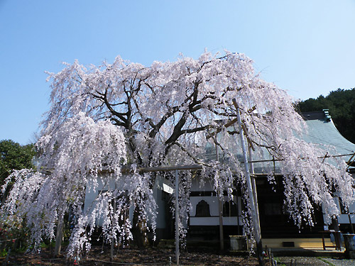 c0026690_2281330.jpg