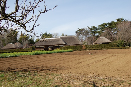 d0153294_2039261.jpg