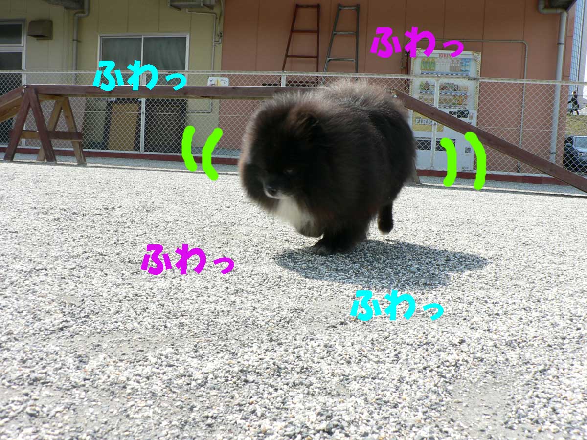 c0128896_821070.jpg