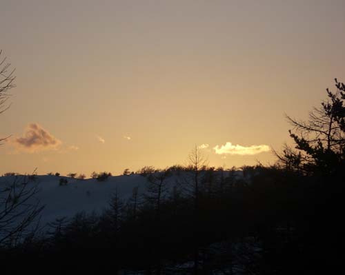 池ノ平湿原まで行けます。_e0120896_6545990.jpg