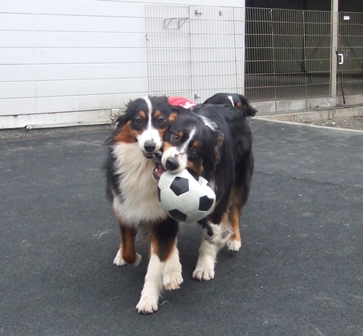 f0077697_18411846.jpg